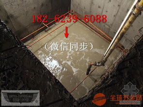 浅析仙桃市水下探测与建筑物清洁服务的成本优势